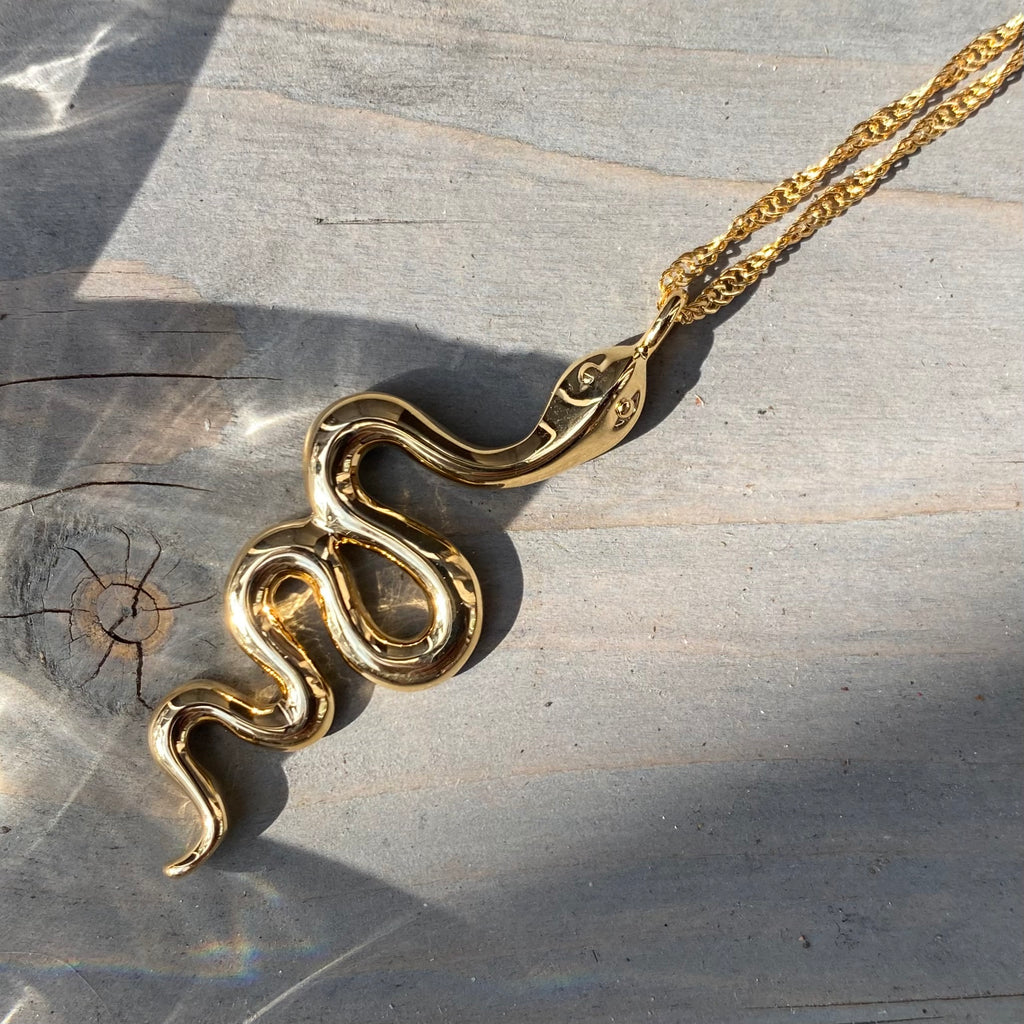 Snake charm necklace